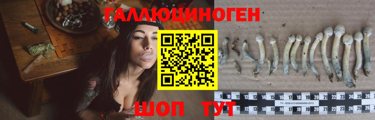 Чусовой  Галлюциногенные грибы ЛСД  Вход с VPN 
